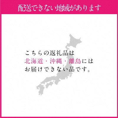  【2026年先行受付】 岡山の 白桃 300g以上×6玉 岡山県産 [No.5735-1328]