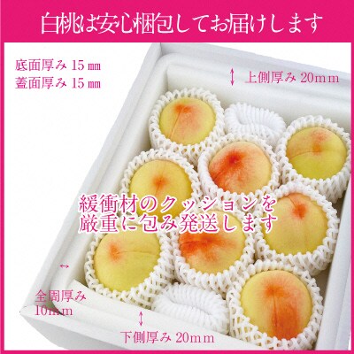  【2026年先行受付】 岡山の 白桃 300g以上×6玉 岡山県産 [No.5735-1328]