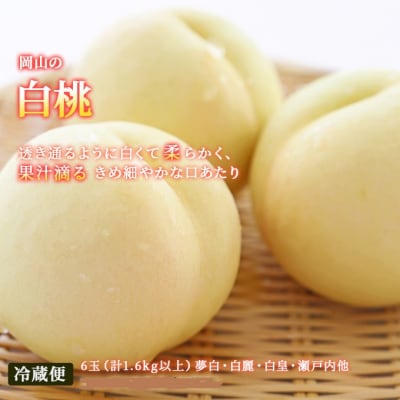 【2026年先行受付】フルーツ王国 岡山の果物 5回コース 夏～冬物語 [No.5735-1477]