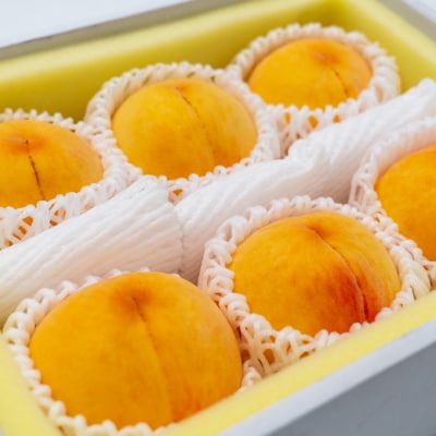 【2025年先行受付】 岡山 の 桃 食べ比べ 定期便 3回コース [No.5735-1479]