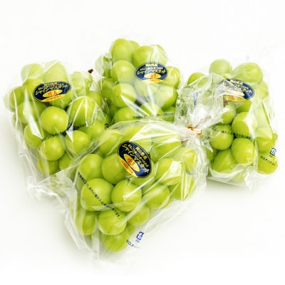 シャイン マスカット 晴王 4房(1房480g以上)約2kg 岡山県産 [No.5735-1480]