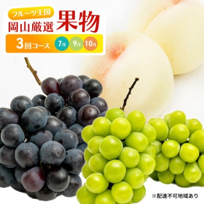 フルーツ王国 岡山 厳選 果物 定期便 (7月 9月 10月)3回コース[No.5735-1478]