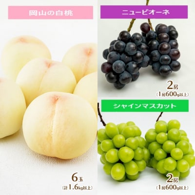 フルーツ王国 岡山 厳選 果物 定期便 (7月 9月 10月)3回コース[No.5735-1478]