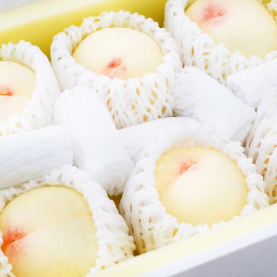 フルーツ王国 岡山 厳選 果物 定期便 (7月 9月 10月)3回コース[No.5735-1478]