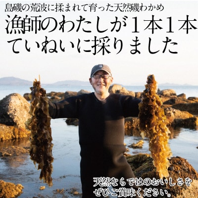 湯通し塩蔵 瀬戸内 わかめ 500g×5袋【岡山 瀬戸内海 天然 塩蔵】[No.5735-1283]