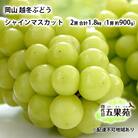 越冬 ぶどう シャイン マスカット 2房 (1房 約900g)岡山県産 [No.5735-1491]