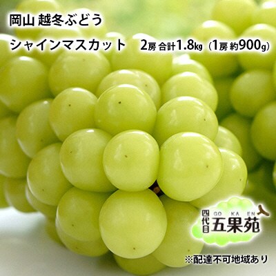 越冬 ぶどう シャイン マスカット 2房 (1房 約900g)岡山県産 [No.5735-1491]