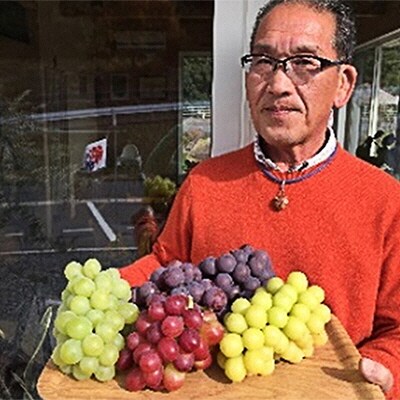 越冬 ぶどう シャイン マスカット 2房 (1房 約900g)岡山県産 [No.5735-1491]