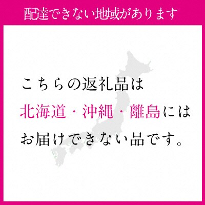 氷温(R)シャインマスカット 2房 合計1.2kg以上 岡山 黒川農園 [No.5735-1436]