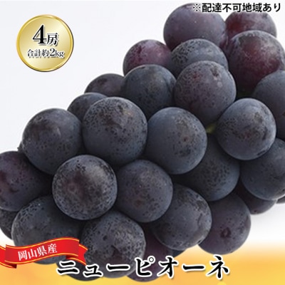 【2026年先行受付】ニュー ピオーネ 4房(合計約2kg) 岡山県産 [No.5735-1446]