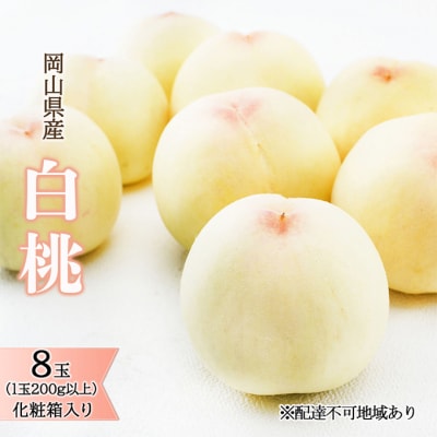 【2026年先行受付】白桃 8玉(1玉200g以上)化粧箱入り 岡山県産[No.5735-1449]