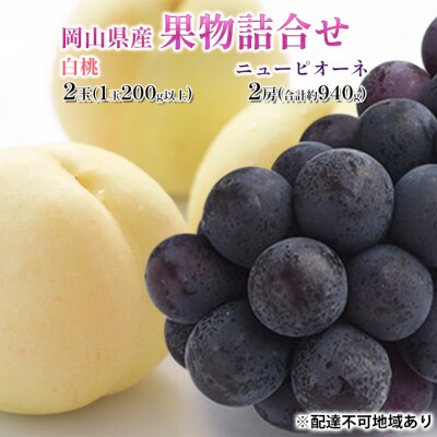 果物詰合せ 白桃 2玉・ニュー ピオーネ 2房 化粧箱入り 岡山県産 [No.5735-1450]