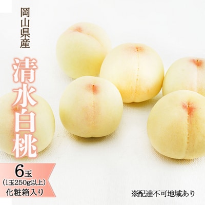 【2026年先行受付】清水白桃6玉(1玉250g以上)化粧箱入 岡山県産[No.5735-1452]