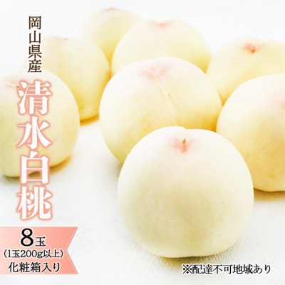 【2026年先行受付】清水白桃8玉(1玉200g以上)化粧箱入 岡山県産[No.5735-1454]