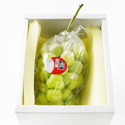 【2026年先行受付】桃太郎ぶどう 1房 約670g 化粧箱入 岡山県産[No.5735-1457]