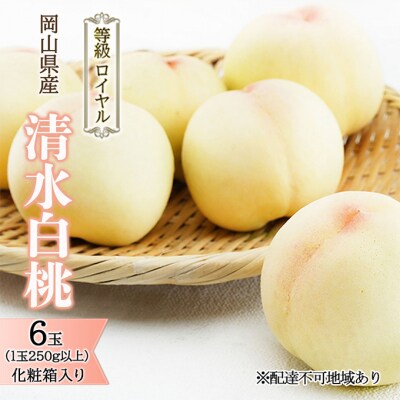 清水白桃 6玉 (1玉250g以上) 等級:ロイヤル 化粧箱入 岡山県産[No.5735-1571]
