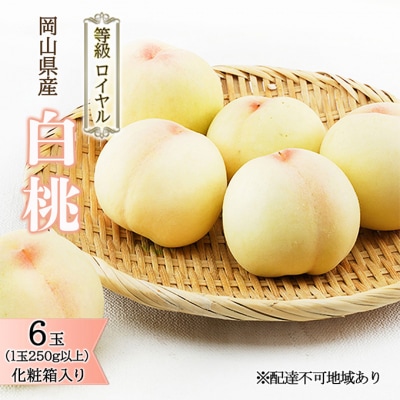 白桃 6玉 (1玉250g以上) 等級:ロイヤル 化粧箱入り 岡山県産 [No.5735-1574]
