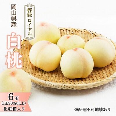白桃 6玉 (1玉300g以上) 等級:ロイヤル 化粧箱入り 岡山県産 [No.5735-1573]