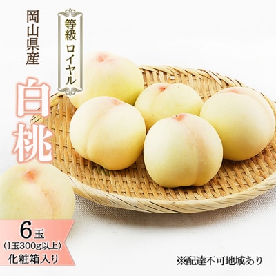 白桃 6玉 (1玉300g以上) 等級:ロイヤル 化粧箱入り 岡山県産 [No.5735-1573]