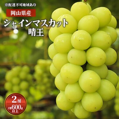 シャイン マスカット 晴王 2房 (1房600g以上)化粧箱入 岡山県産[No.5735-1578]