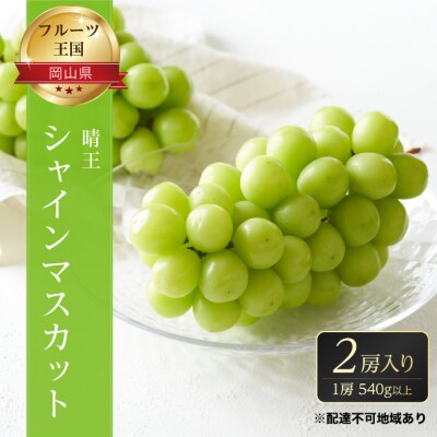 ご家庭用 シャインマスカット [晴王] 優品 2房(露地栽培) 岡山県産[No.5735-1604]