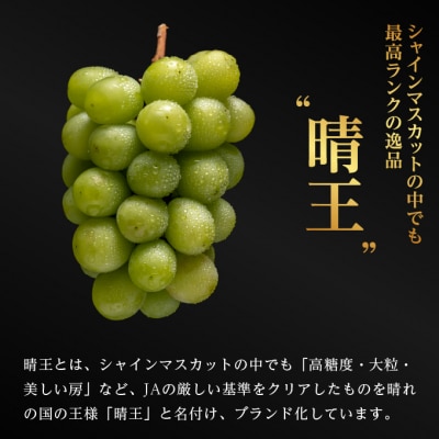 ご家庭用 シャインマスカット晴王 優品 2房(露地栽培)岡山県産[No.5735-1604]