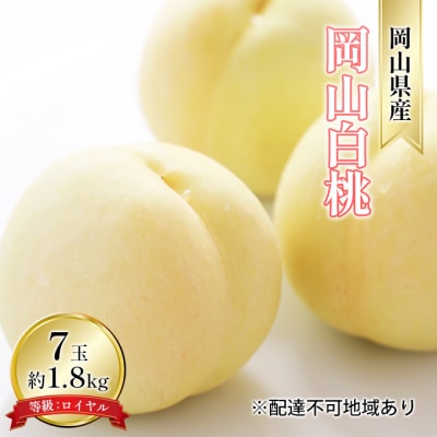 【2026年先行受付】岡山白桃 7玉 等級:ロイヤル(1玉260g以上)[No.5735-1591]