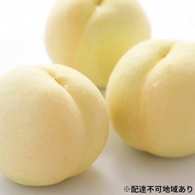 【2025年先行受付】岡山白桃 6玉 等級:ロイヤル(1玉240g以上)[No.5735-1593]
