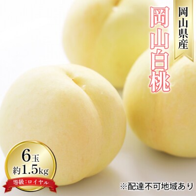 【2026年先行受付】岡山白桃 6玉 等級:ロイヤル(1玉240g以上)[No.5735-1593]