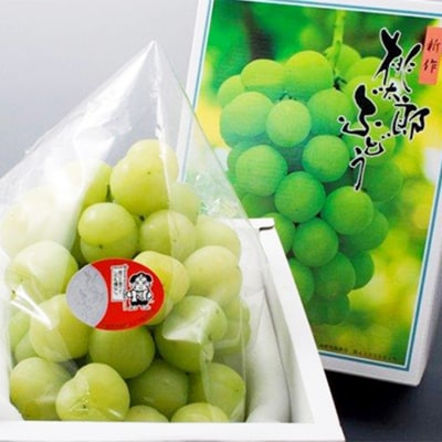 桃太郎 ぶどう 2房(1房 480g以上 露地栽培)贈答用 岡山県産 [No.5735-1595]