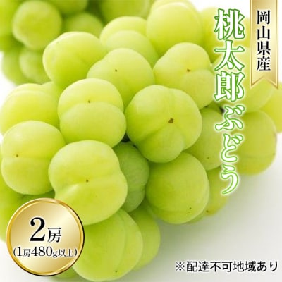 桃太郎 ぶどう 2房(1房 480g以上 ハウス栽培)贈答用 岡山県産 [No.5735-1596]