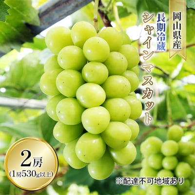 長期冷蔵 シャイン マスカット 2房入り(1房 530g以上) 岡山県産[No.5735-1598]