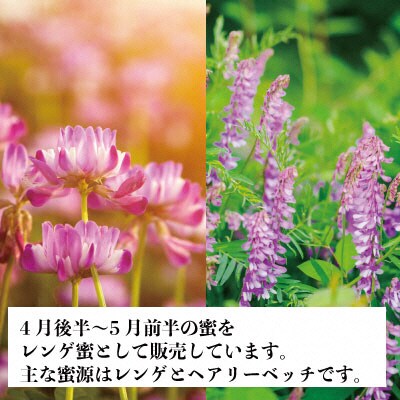 瀬戸内市産 レンゲ 非加熱 はちみつ 2本セット(1本180g)石黒農園[No.5735-1644]