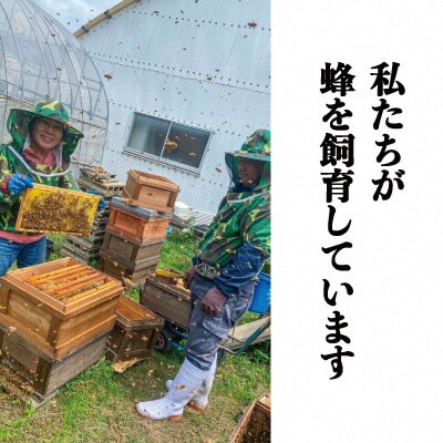 瀬戸内市産 レンゲ 非加熱 はちみつ 2本セット(1本180g)石黒農園[No.5735-1644]