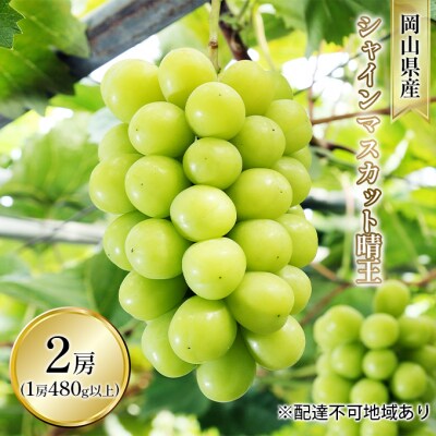 シャインマスカット 晴王 2房(1房480g以上 ハウス栽培)岡山県産 [No.5735-1599]
