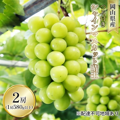 シャインマスカット 晴王 2房(1房580g以上 ハウス栽培)岡山県産 [No.5735-1600]