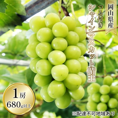 シャイン マスカット 晴王  1房 680g以上(露地栽培) 岡山県産 [No.5735-1603]