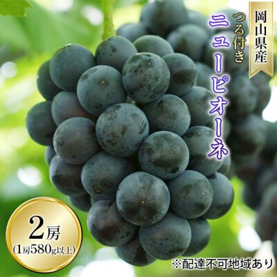 ニュー ピオーネ  2房(1房 580g以上  露地栽培)岡山県産  [No.5735-1610]