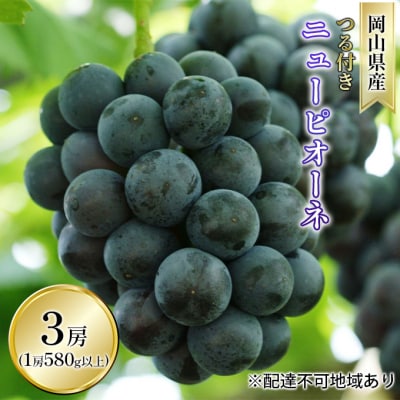 ニュー ピオーネ 3房(1房 580g以上  露地栽培)  岡山県産  [No.5735-1611]