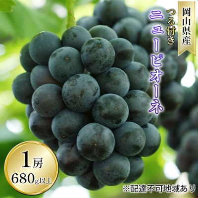 ニュー ピオーネ  1房  680g以上(露地栽培) 岡山県産  [No.5735-1612]