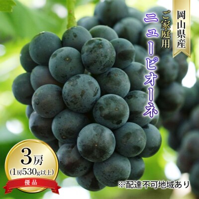 ご家庭用ニュー ピオーネ 優品3房(1房530g以上 露地栽培)岡山県産[No.5735-1615]