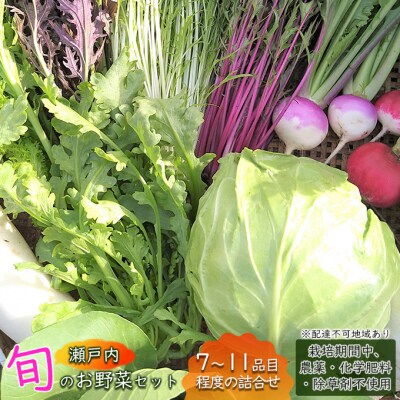 瀬戸内 「旬」のお野菜セット 7～11品目程度の詰合せ[No.5735-1725]