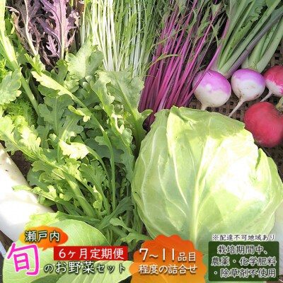 6ヶ月定期便 瀬戸内「旬」のお野菜セット 7～11品目程度の詰合せ [No.5735-1727]