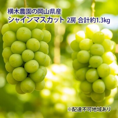 【2026年先行受付】シャインマスカット 2房合計約1.3kg 岡山県産[No.5735-1637]