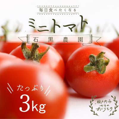 毎日食べたい石黒さんちの ミニトマト 3kg 岡山県瀬戸内市産 石黒農園[No.5735-1646]