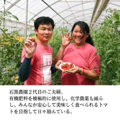 毎日食べたい石黒さんちの ミニトマト 3kg 岡山県瀬戸内市産 石黒農園[No.5735-1646]