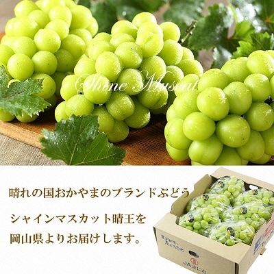 シャインマスカット 晴王 5房～10房 約5kg 岡山県産[No.5735-1658] 