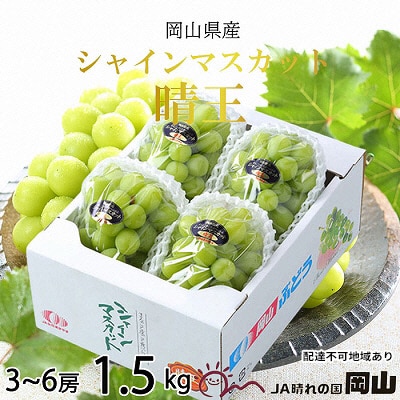 シャインマスカット 晴王 3房～6房 約1.5kg 岡山県産[No.5735-1661] 