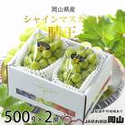 シャイン マスカット 晴王 約500g×2房   岡山県産  [No.5735-1663]
