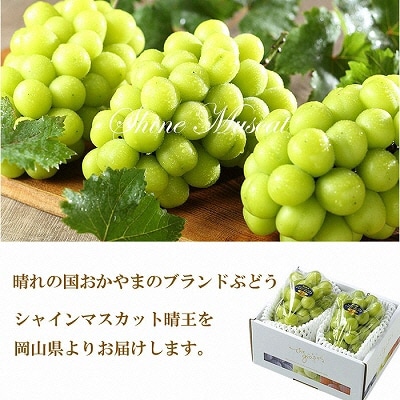 シャイン マスカット 晴王 約500g×2房   岡山県産  [No.5735-1663]